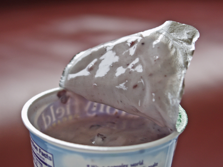 Tillamook Yogurt lid after I was done ahem licking the lid. :  r/IRLEasterEggs