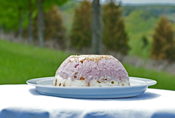 Fürst Pückler ice cream outdoors1